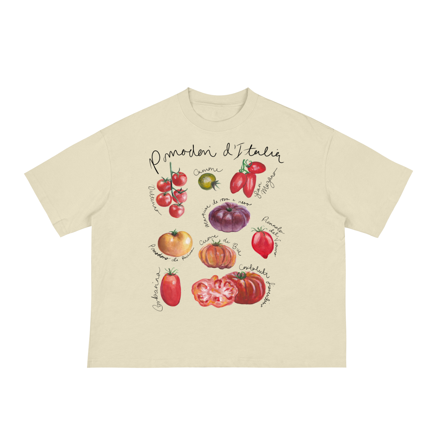 squarespace-upload-temp-2026-08-06-bcc144ef-884e-4c71-9299-e0e16648c86116329746295869217555.png