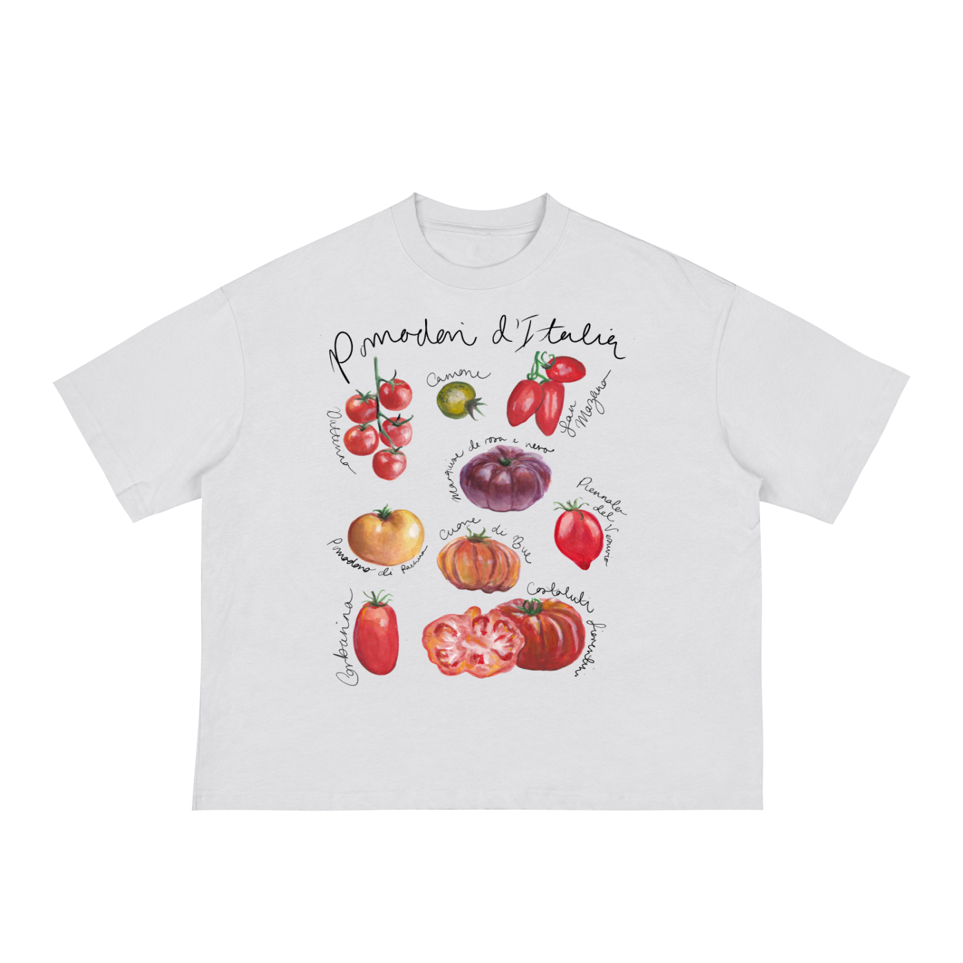 squarespace-upload-temp-2026-08-06-b33fd0a6-3e94-414d-9147-54b96d0f7f8b1575095737459690308.png