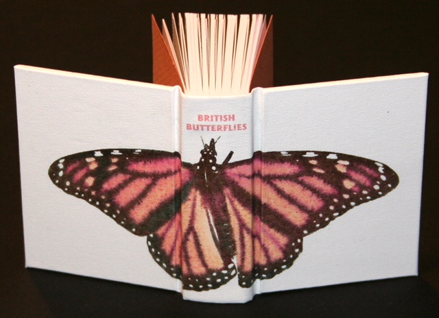 Brit Butterflies.JPG