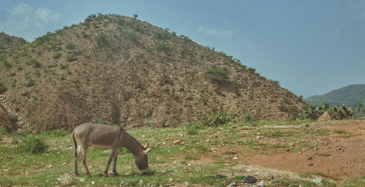 Ass-and-a-Hill---landscape.jpg