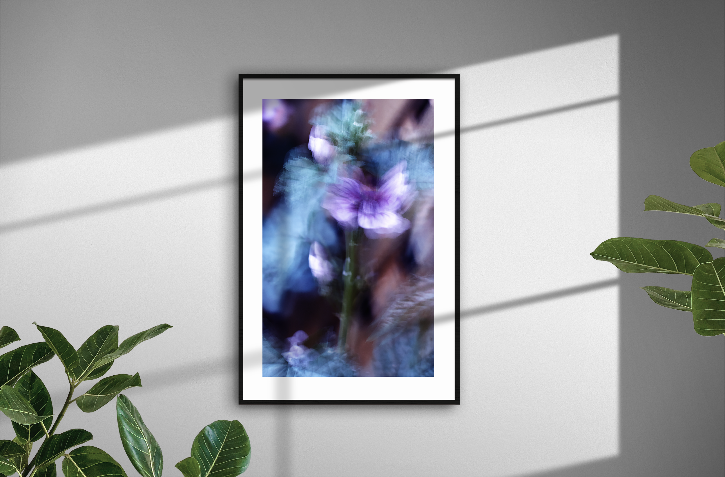 Wall-Frames-Blurred-Love.gif