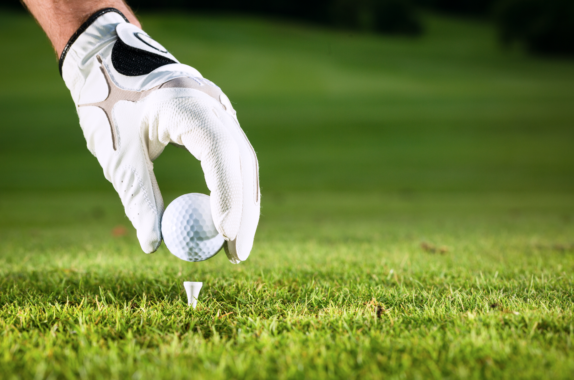 Buy 3 dozen balls, get the 4th dozen free!