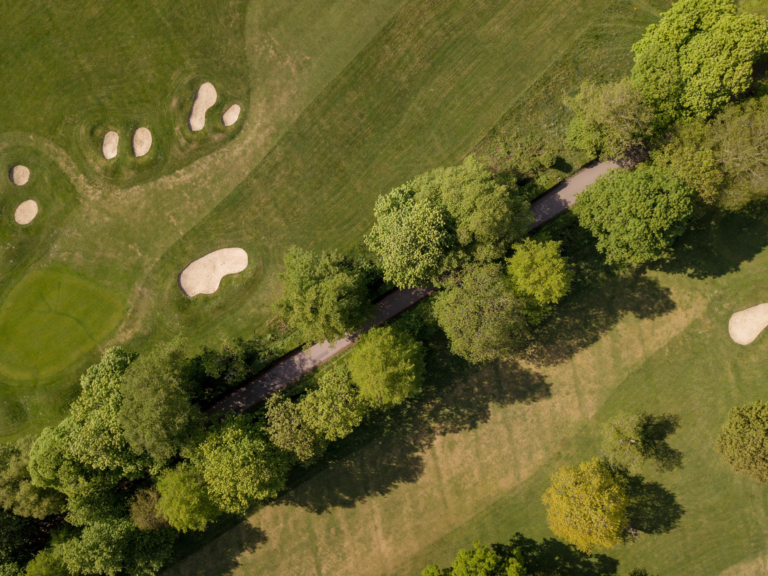 Golf Course Over Seed Dates