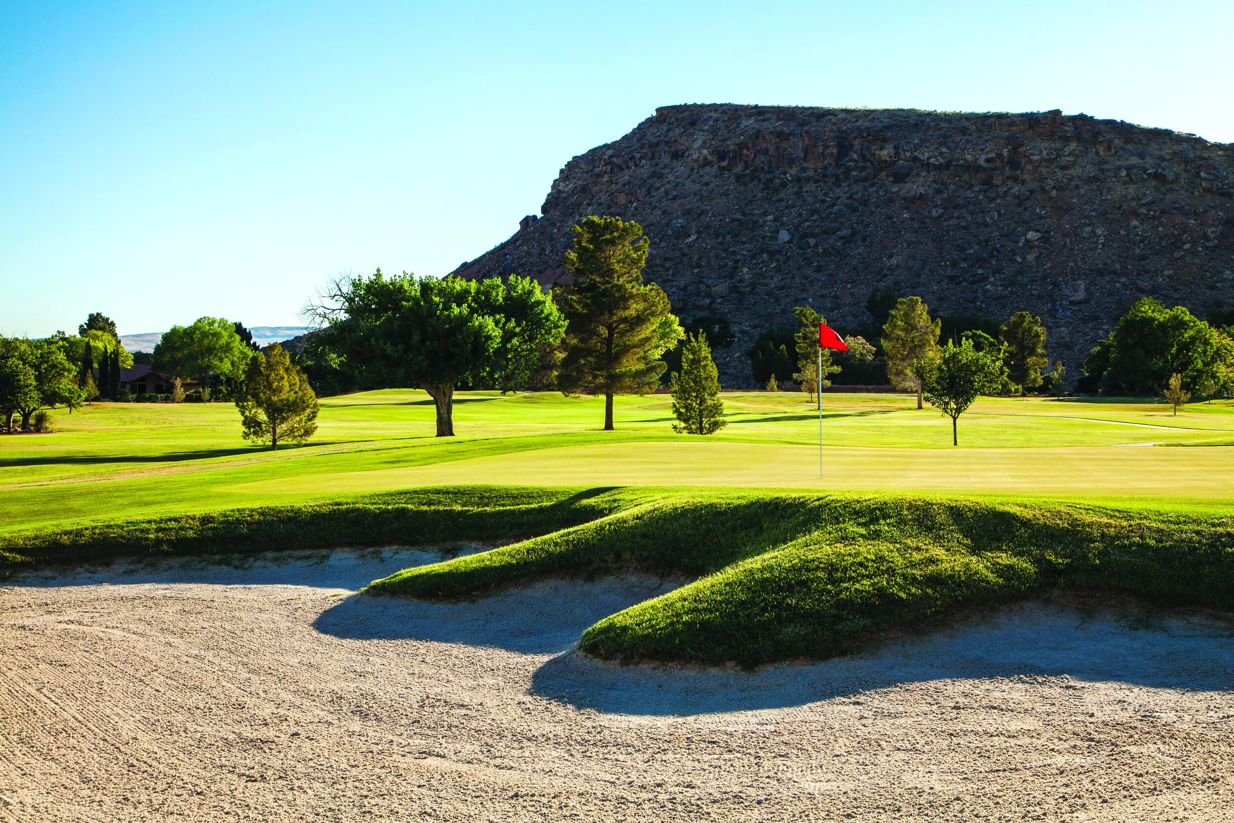 Club Championship Results