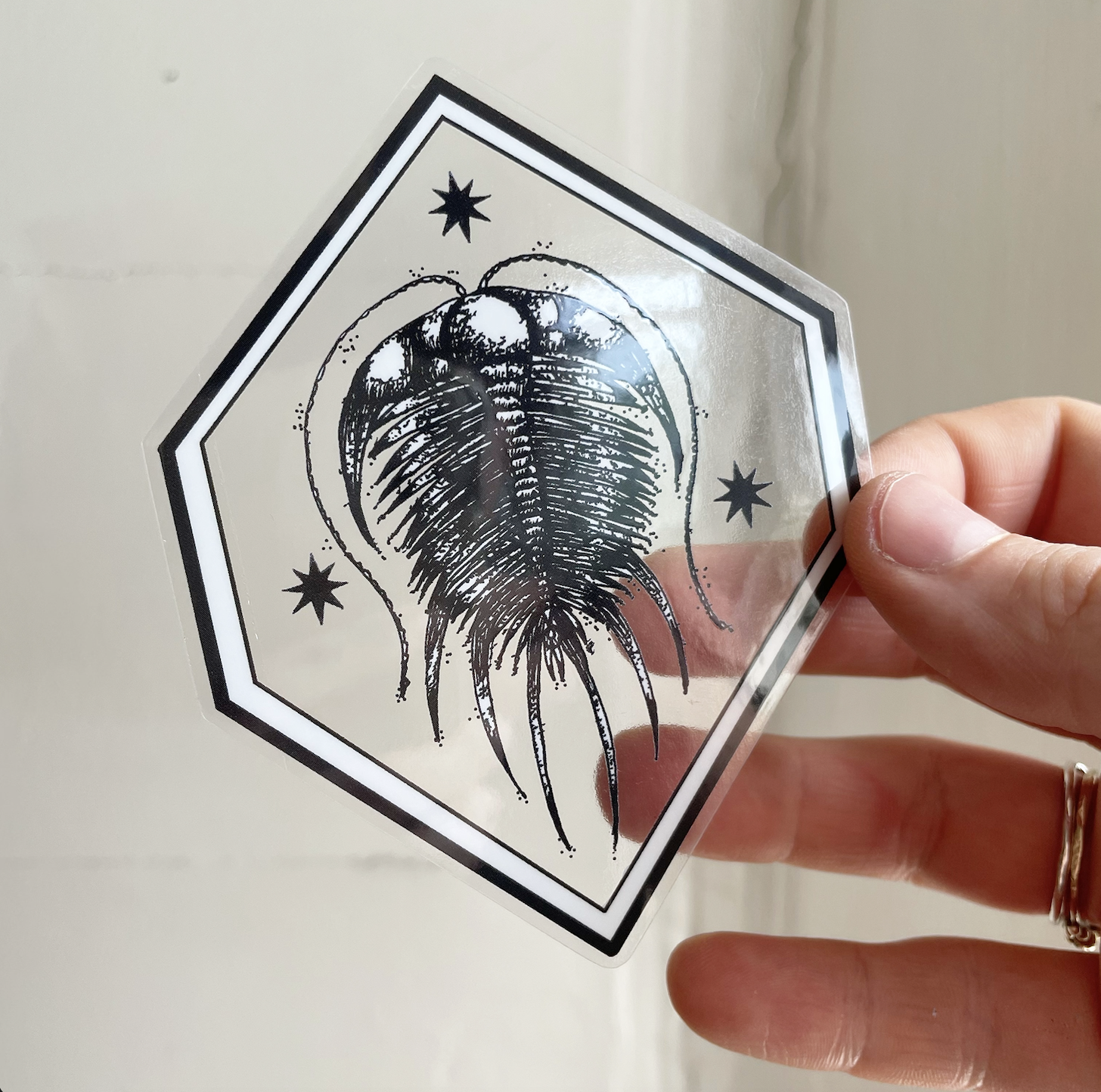 ELRATHIA KINGII sticker