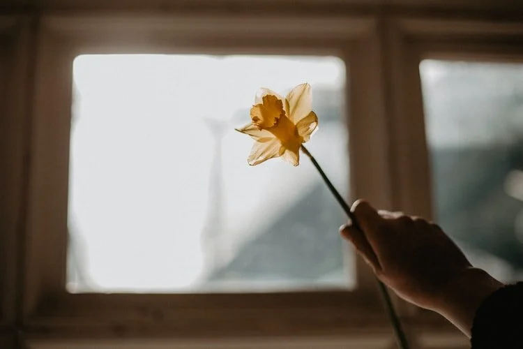 This Easter, Cling to God’s Ceaseless Love