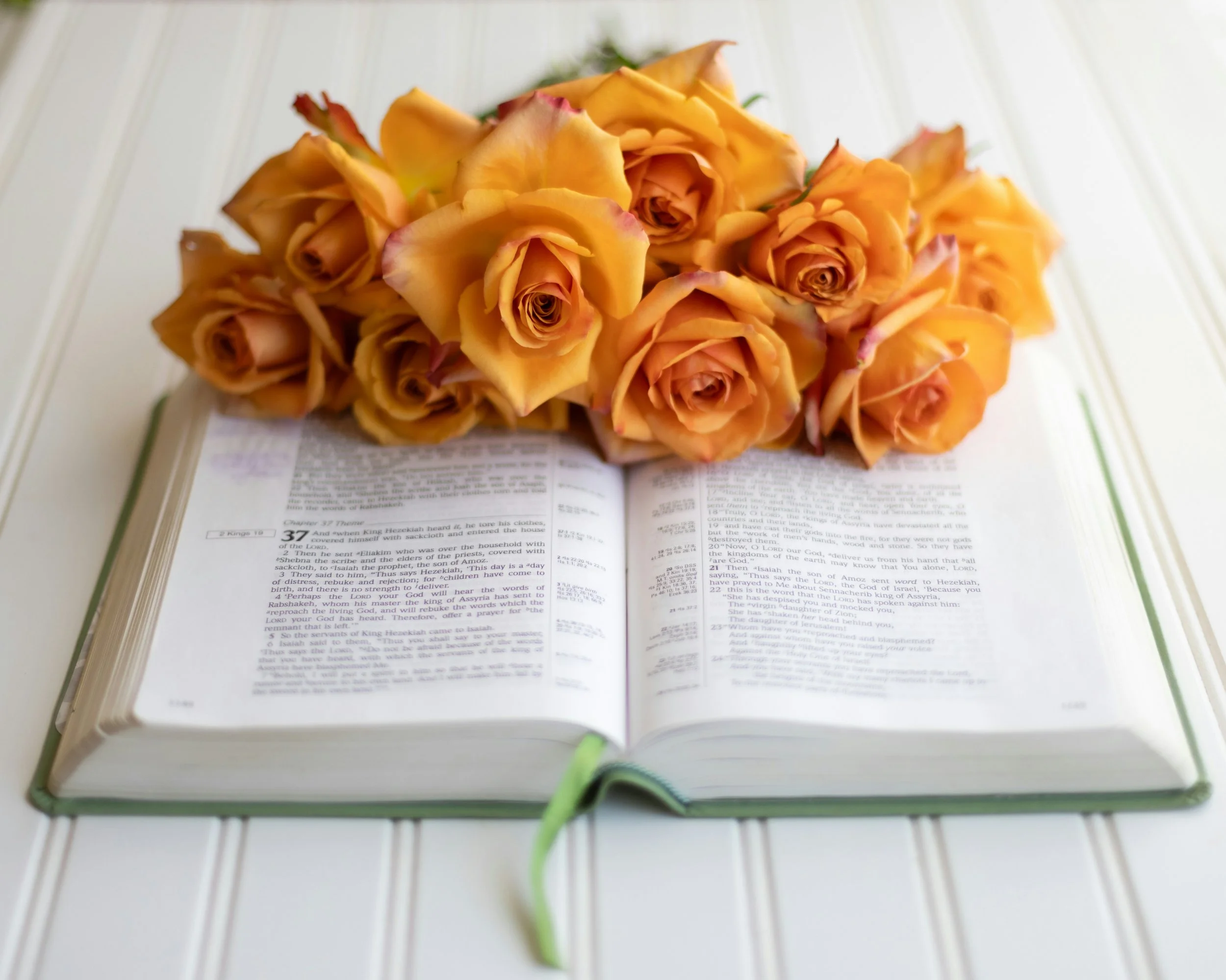 Using the Bible When You’re Overwhelmed