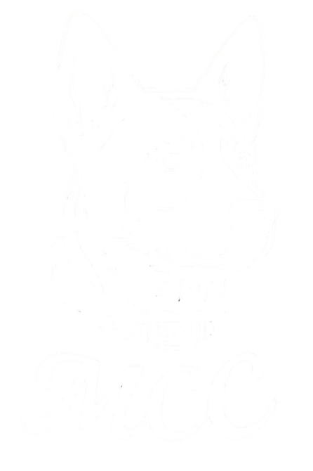 MISSION CONSTRUCTION COMPANY