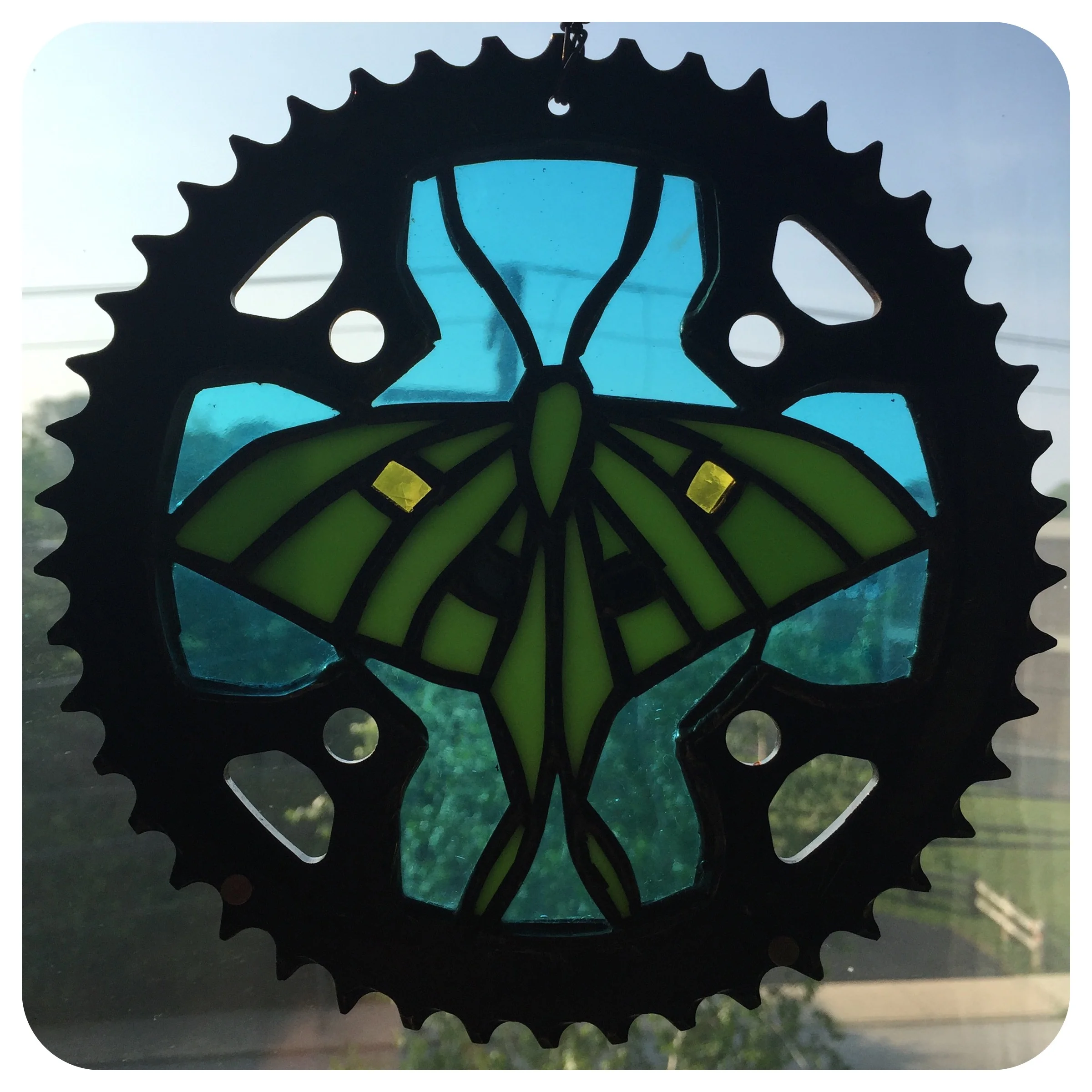 Luna Moth Bike Gear