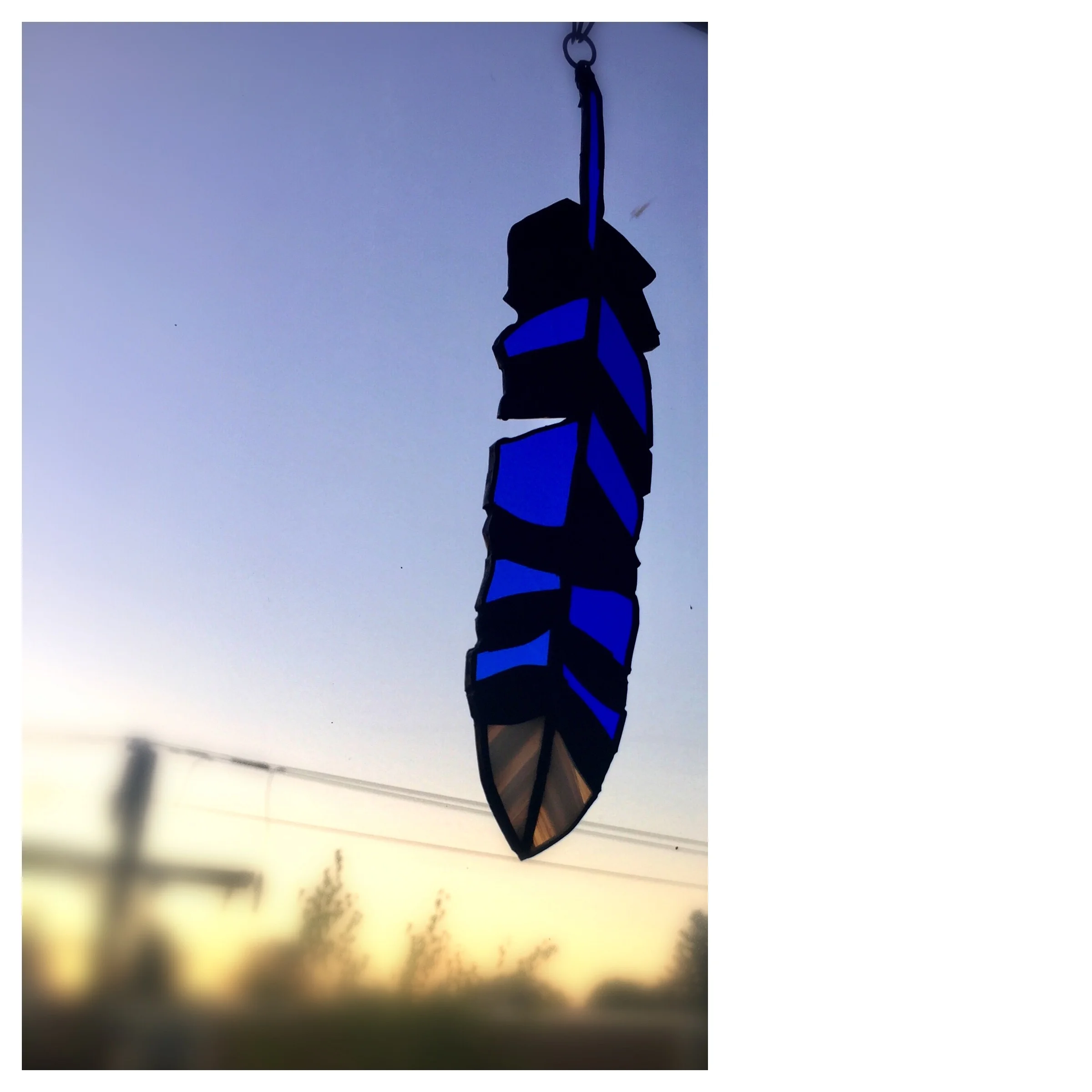 Bluejay Feather 