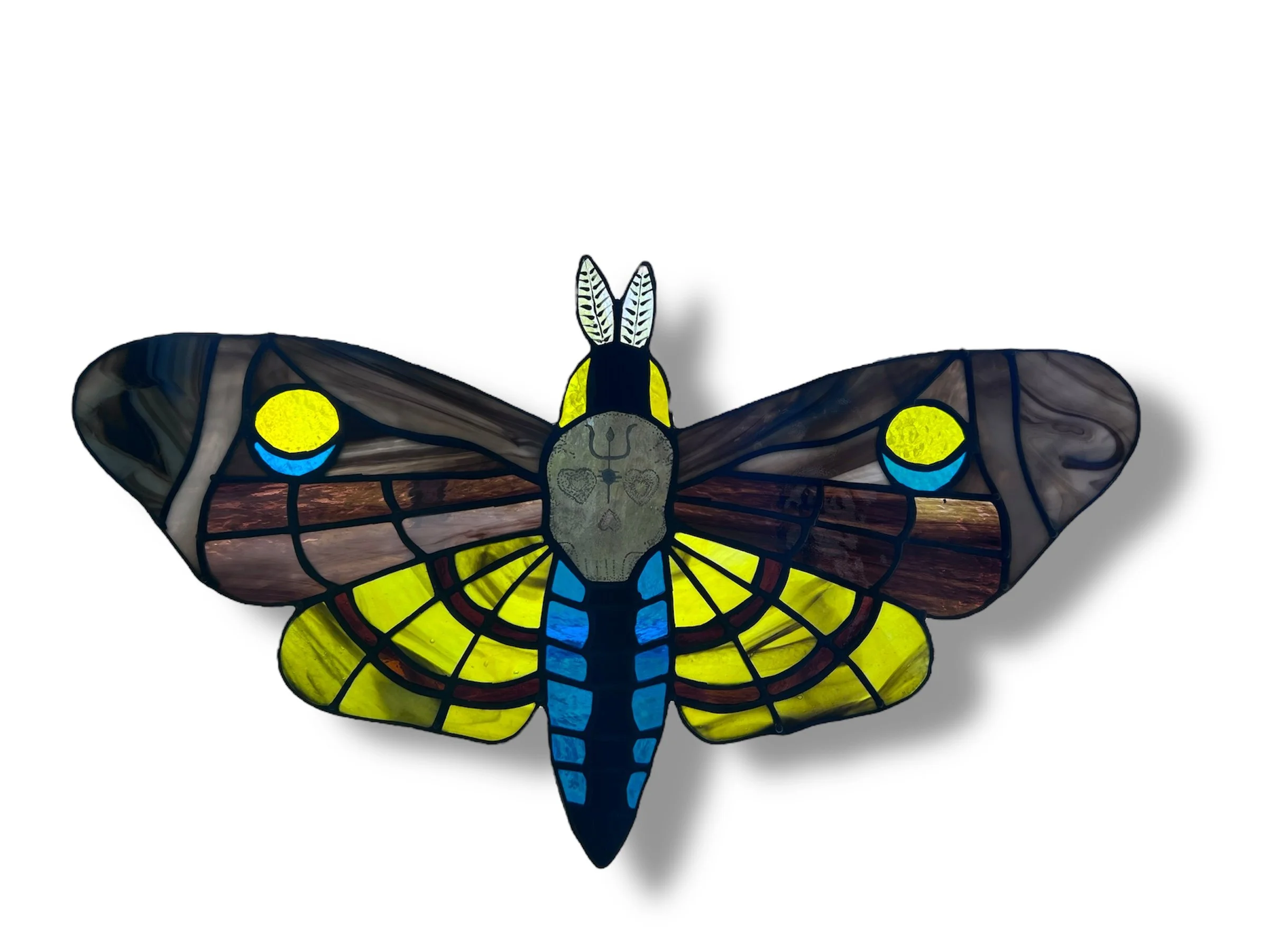 Deaths Head Moth