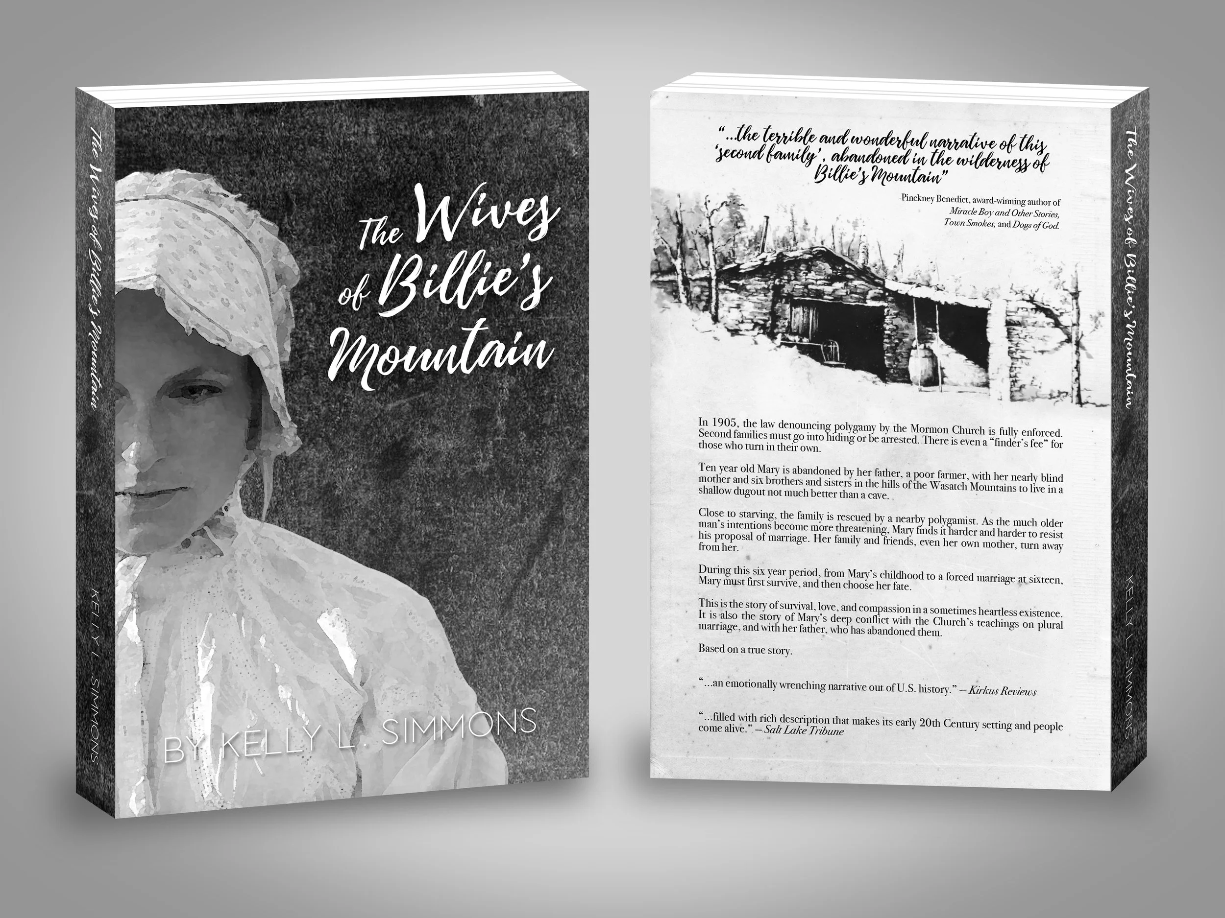 mormon, polygamy, polygamist, literature, fiction, novel, historical, history, turn of the century, women, woman, female, ex-mormom, exmormon, book cover