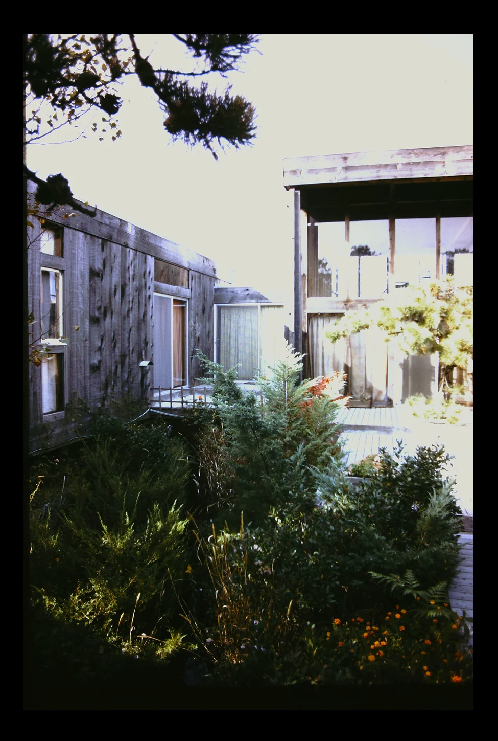PICT00kyh67.jpg