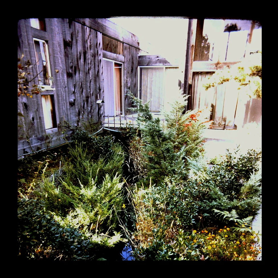 PICT006nfe7.jpg