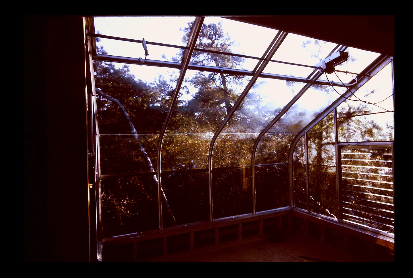 PICTu0067.jpg