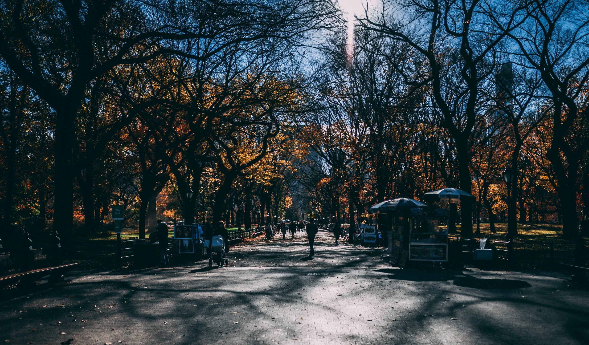 Central Park2.JPG