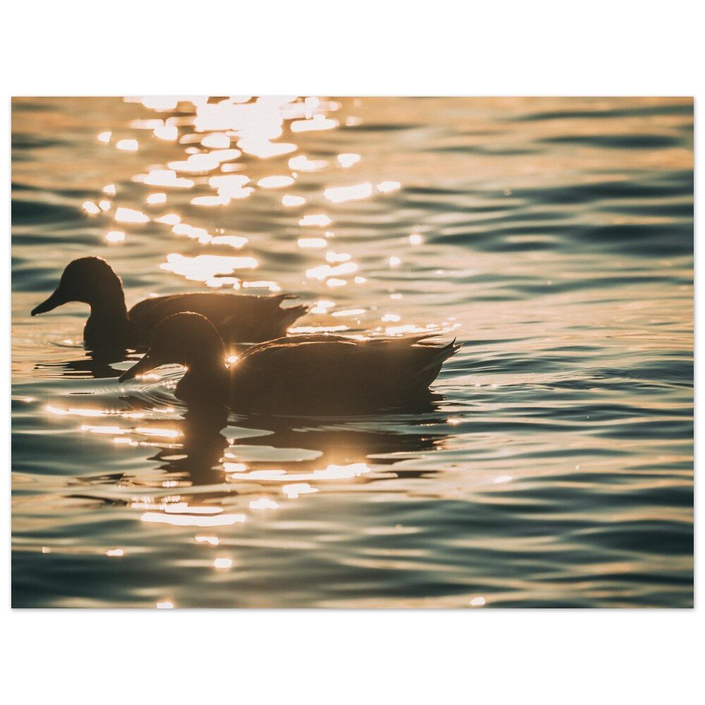 tmp-390-MV7HplIQY1Y7