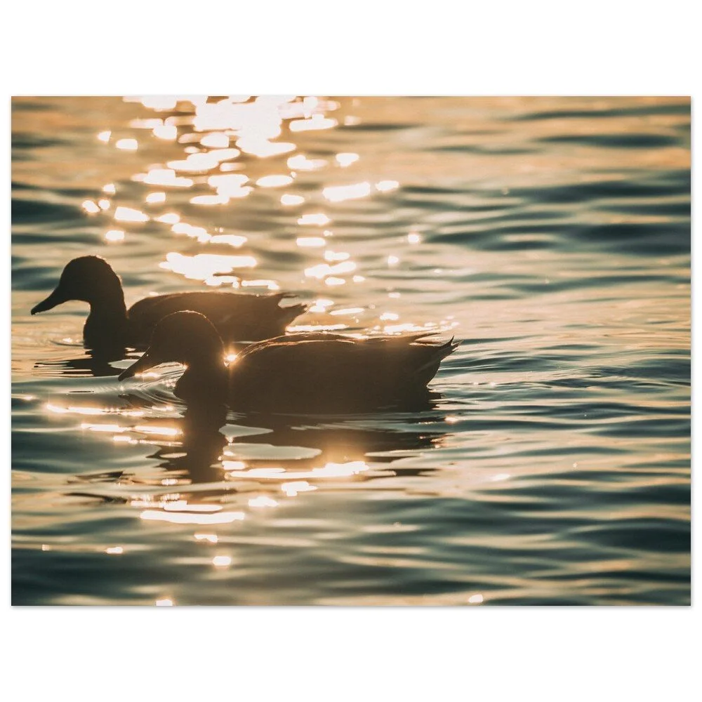 tmp-390-bNQZT3H6DgsB