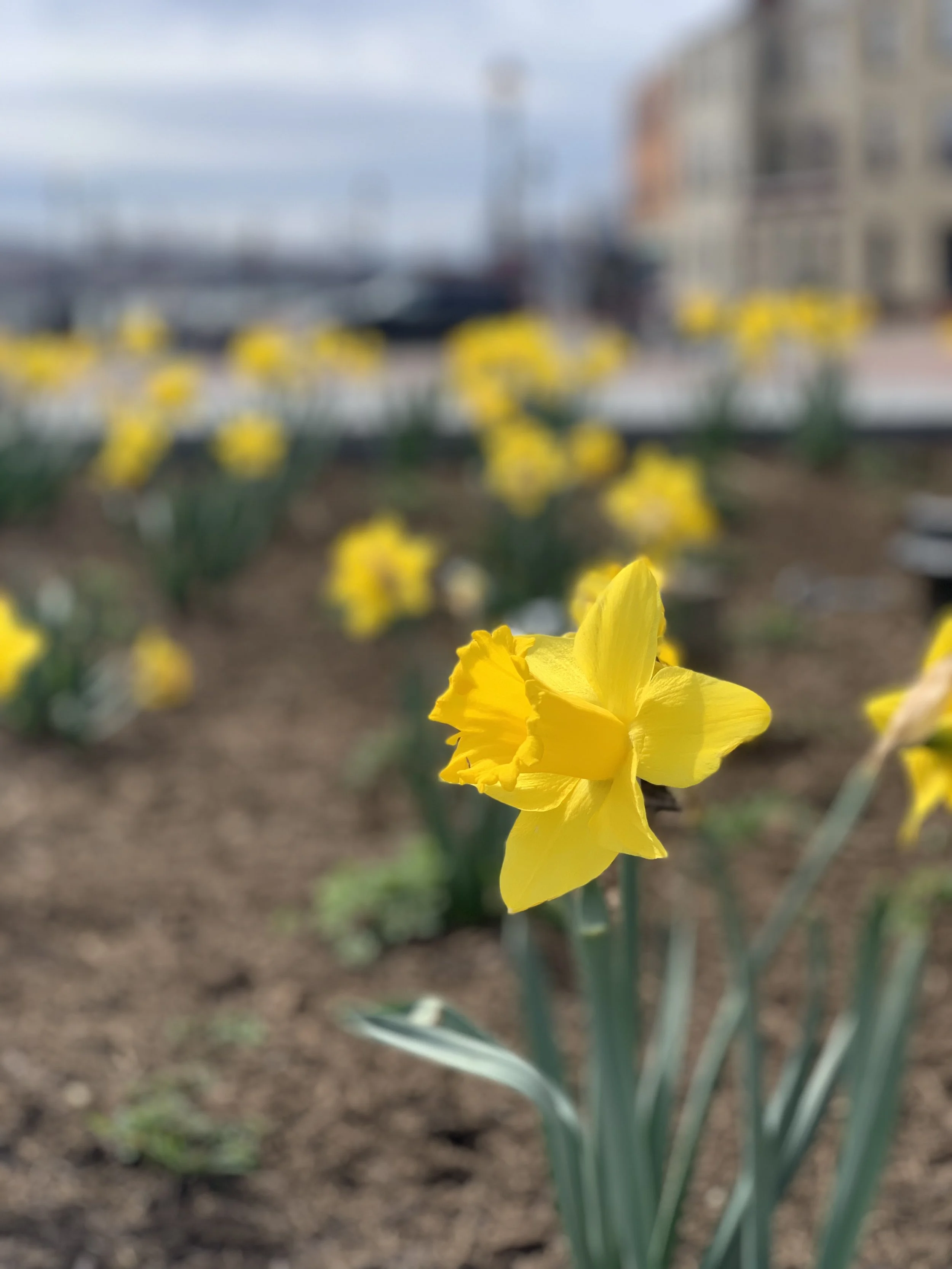 Link Love Roundup March 2019