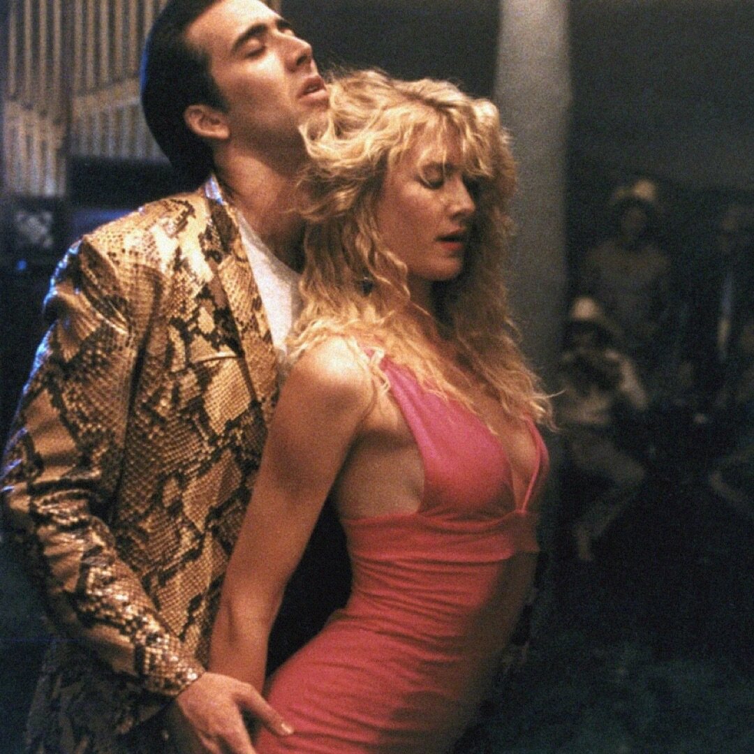 Wild at Heart episode artwork