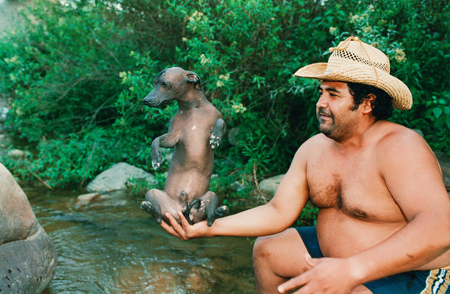 34 Hombre con perro pila en el río Lesser Man in the river with pila dog (pila is his pedigree) 2001.jpg