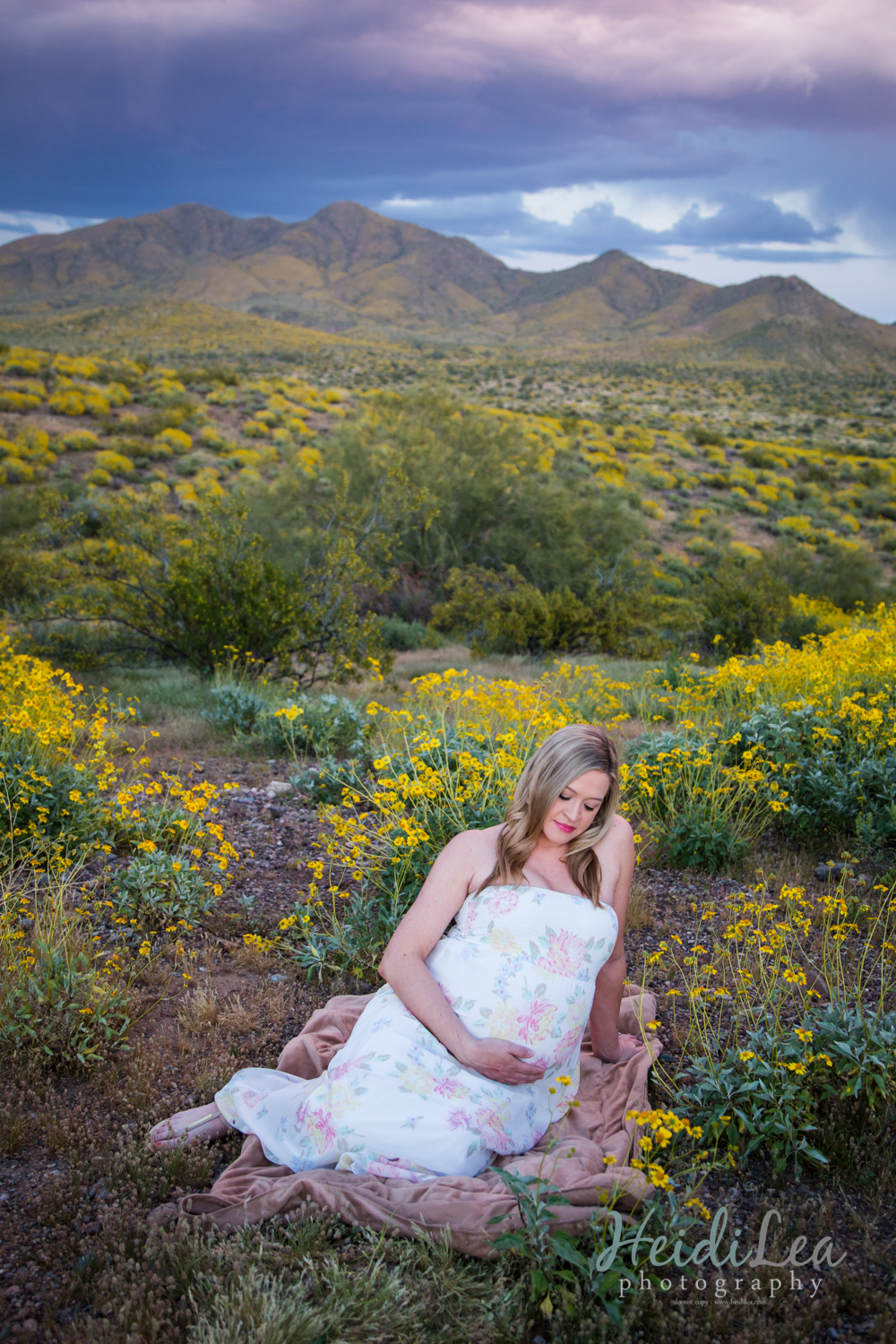 Maternity Photographer in Phoenix.jpg