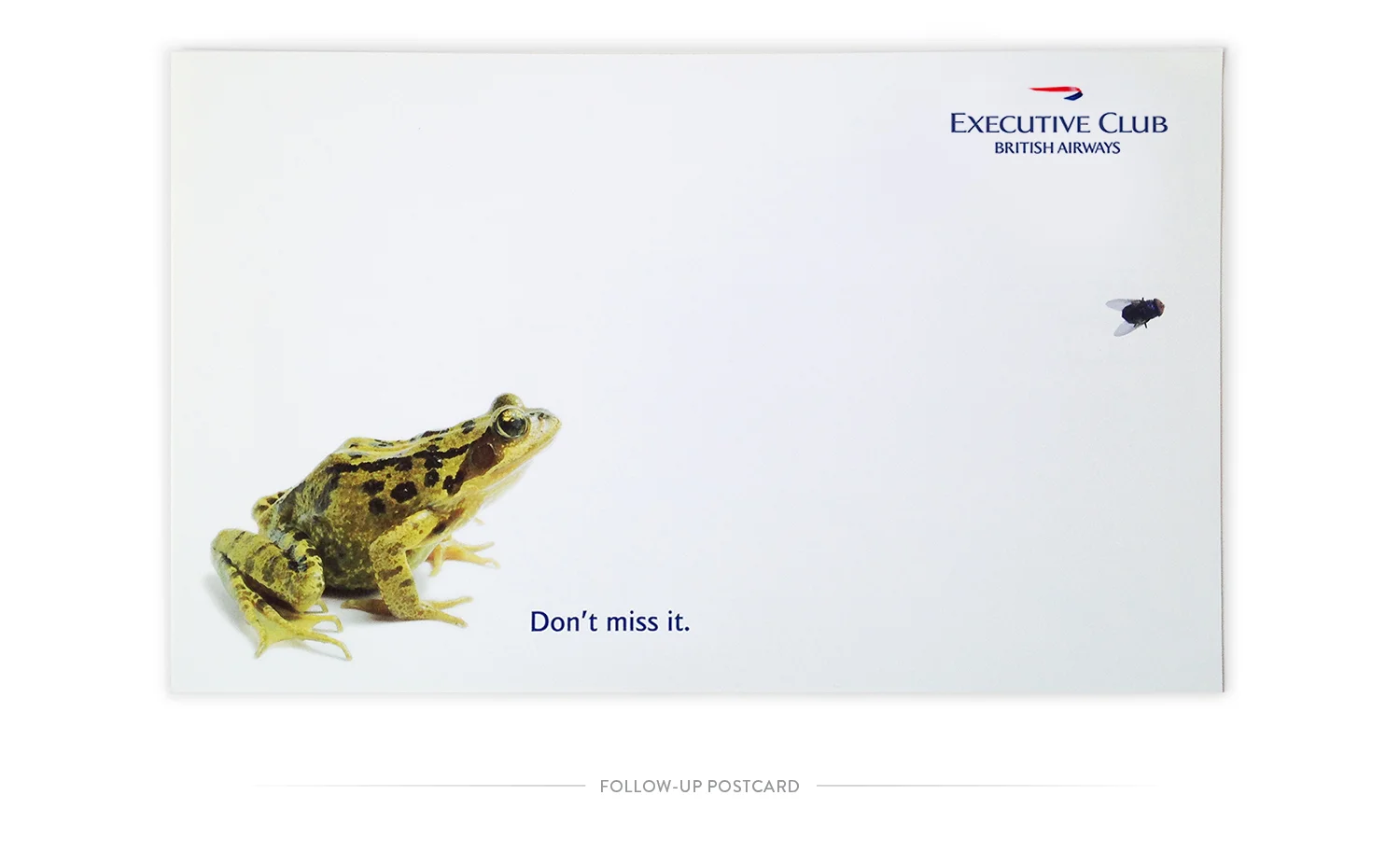frog-dm2.jpg