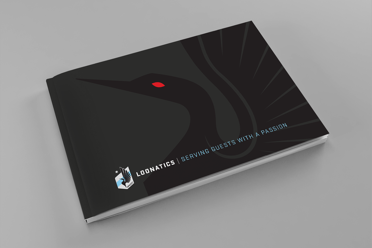 loonatic-cover1.png