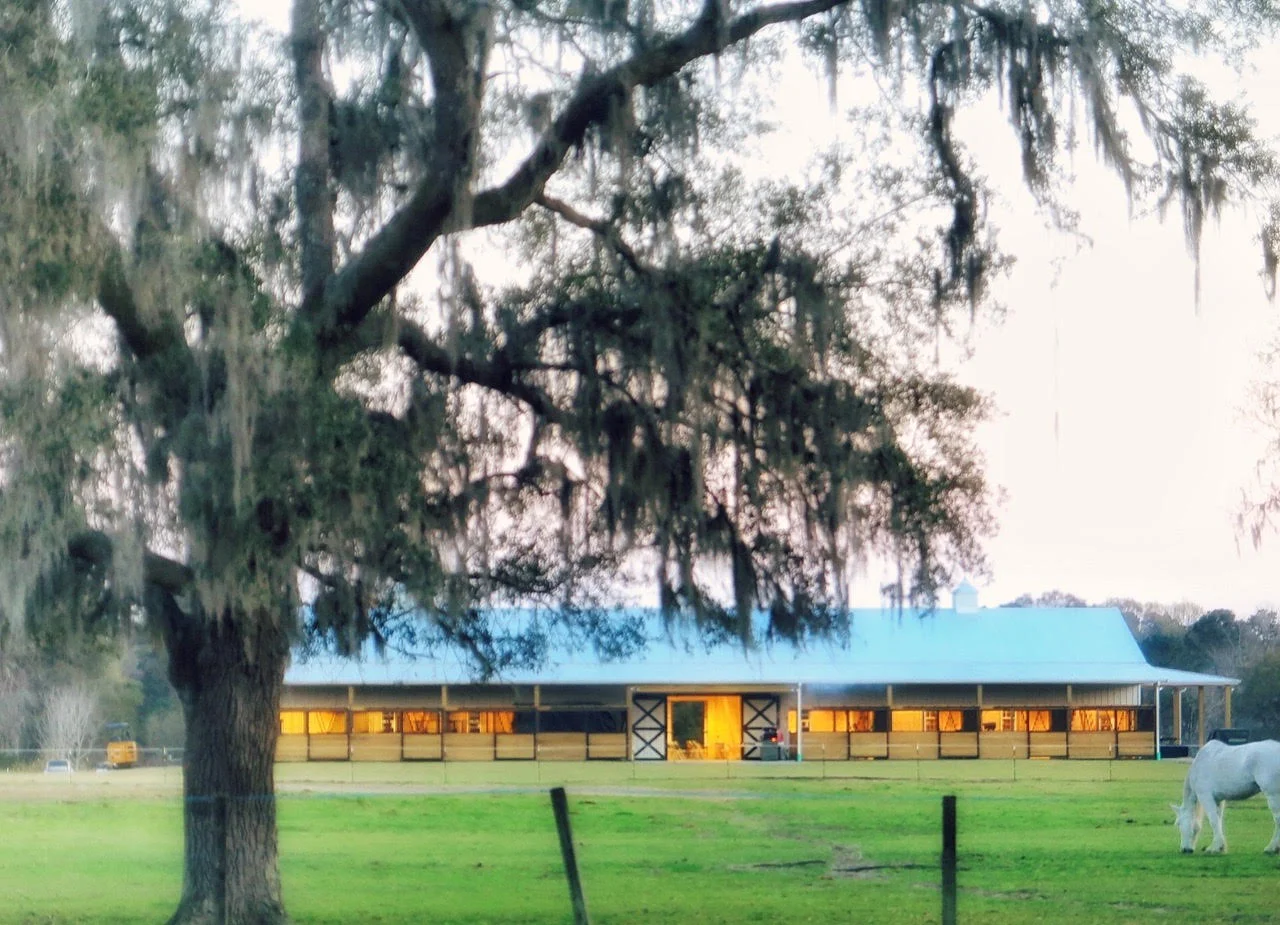 Sugah Cain on John's Island 