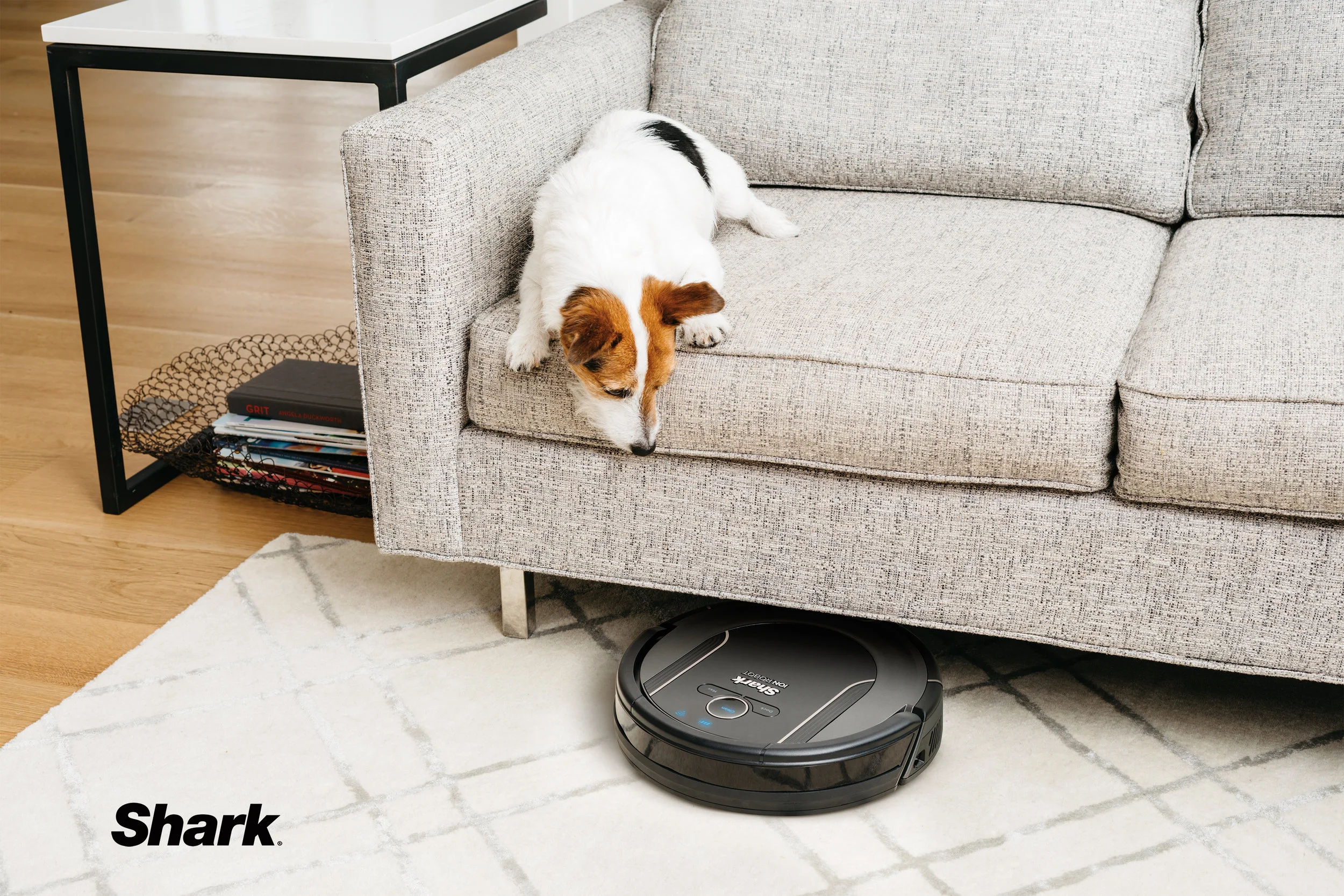 Small-Dog-On-Couch-Watching-Robot-Vacuum.jpg