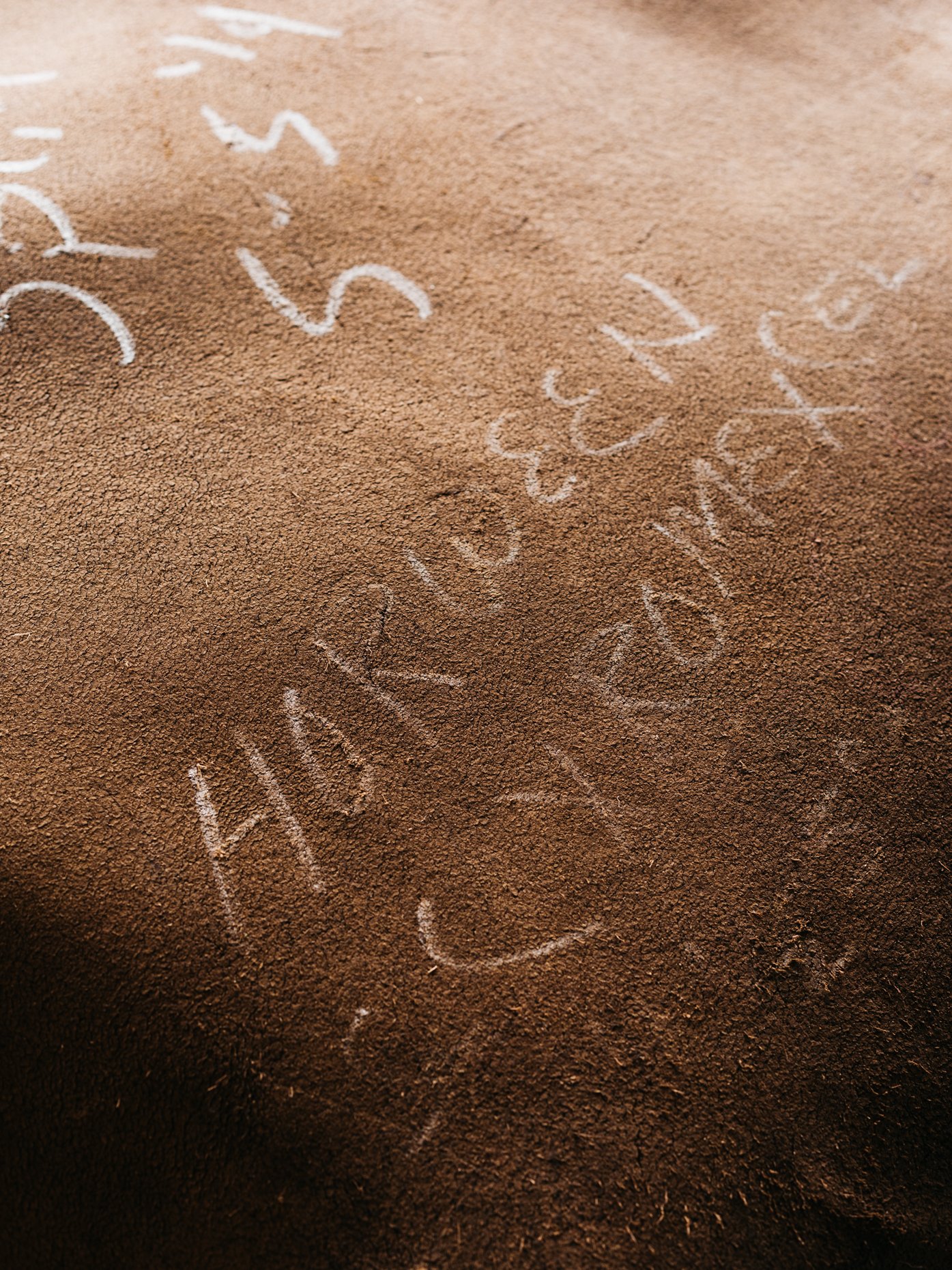 Chalked-Hides-Horween-Tannery-Chicago.jpg