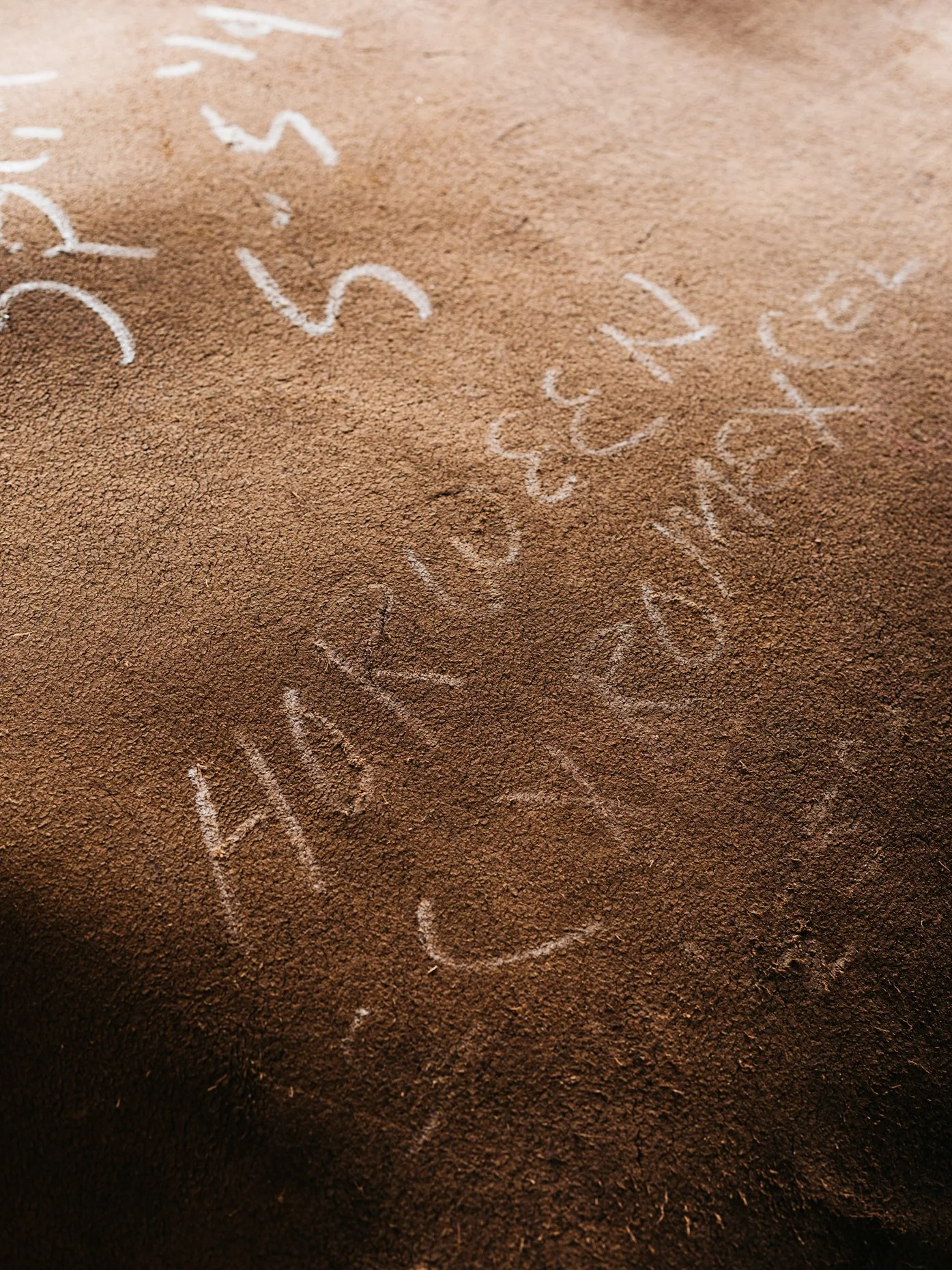Large leather hide with tannery markings
