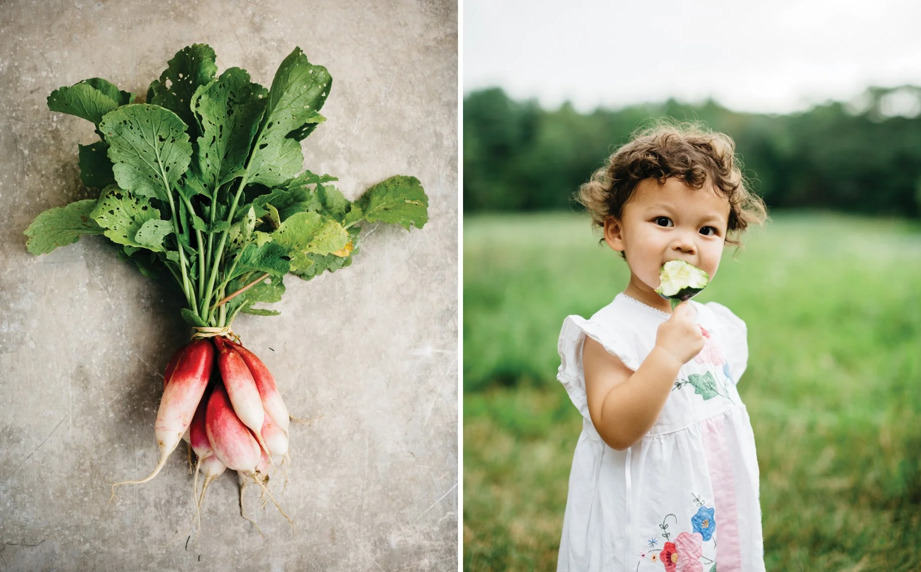 A bunch of fresh radishes with green leaves on the left and a young girl eating a radish on the right in a grassy field.