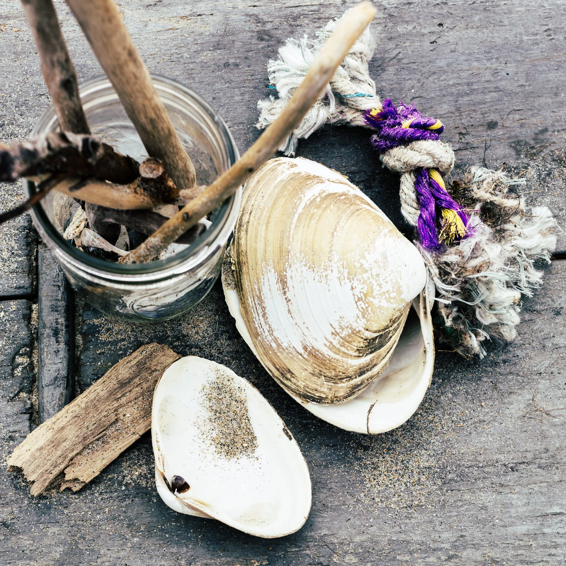 Shells, a piece of driftwood, and a jar with sticks and a decorated rope on a wooden surface.