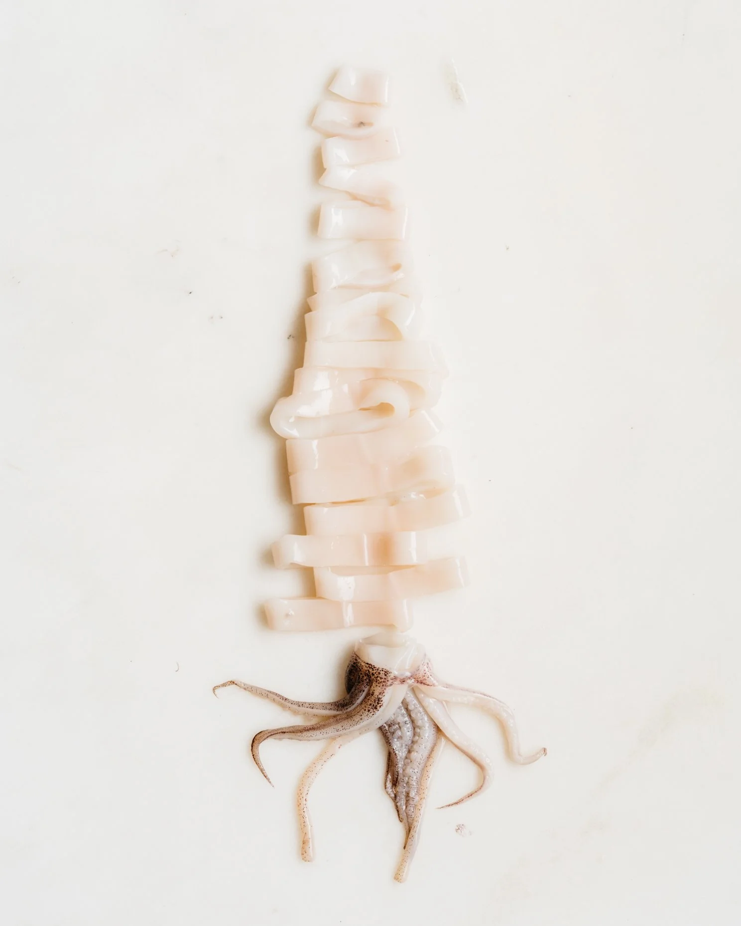 A small squid with some sliced pieces of squid meat placed along its back on a white surface.
