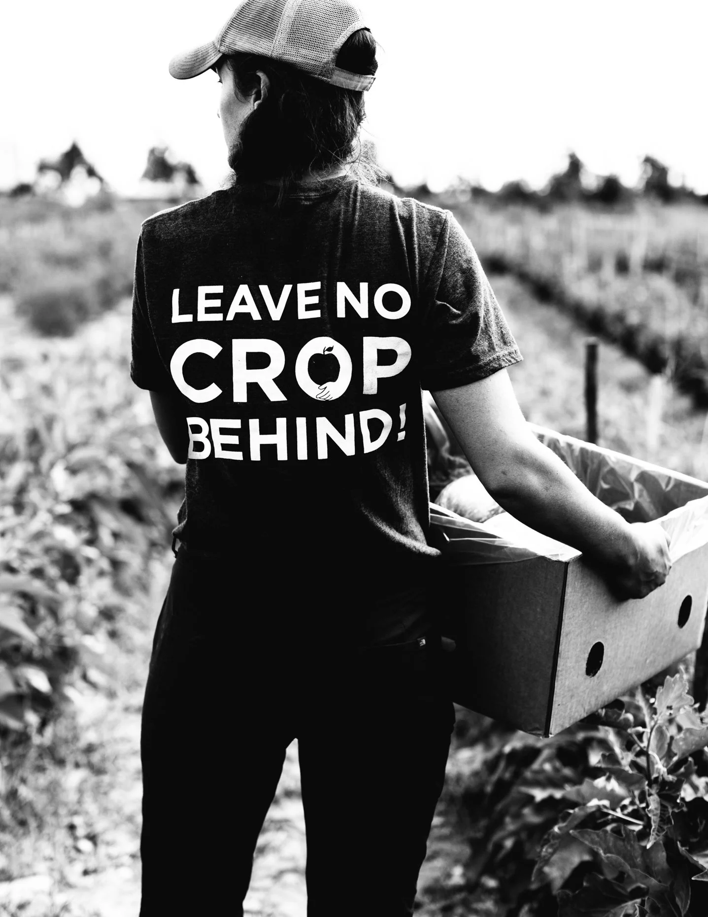 Back view of a person holding a box of crops in a field, wearing a t-shirt with the message 'Leave No Crop Behind!' and an image of a seedling.