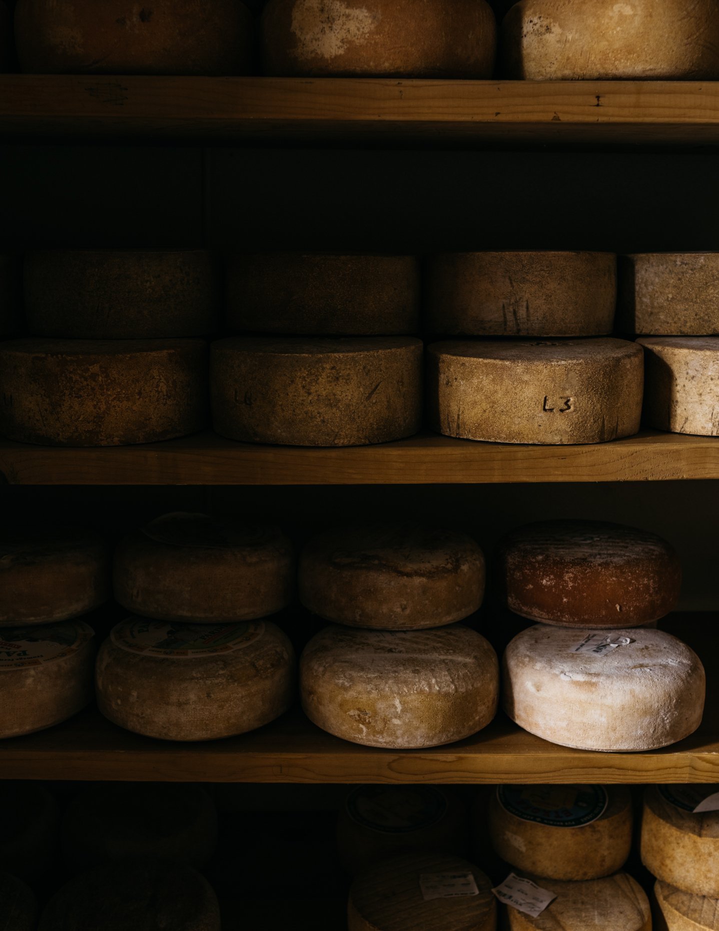 Shelves of large wheels of cheese stored in a cheese cellar.