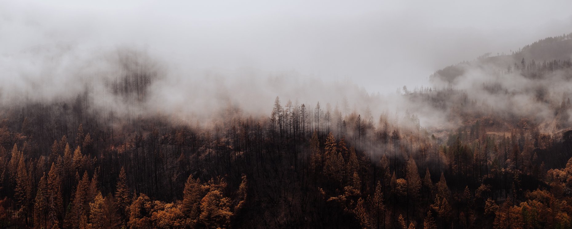 A foggy forested mountain landscape with trees in autumn colors and smoke or mist rising among the trees.