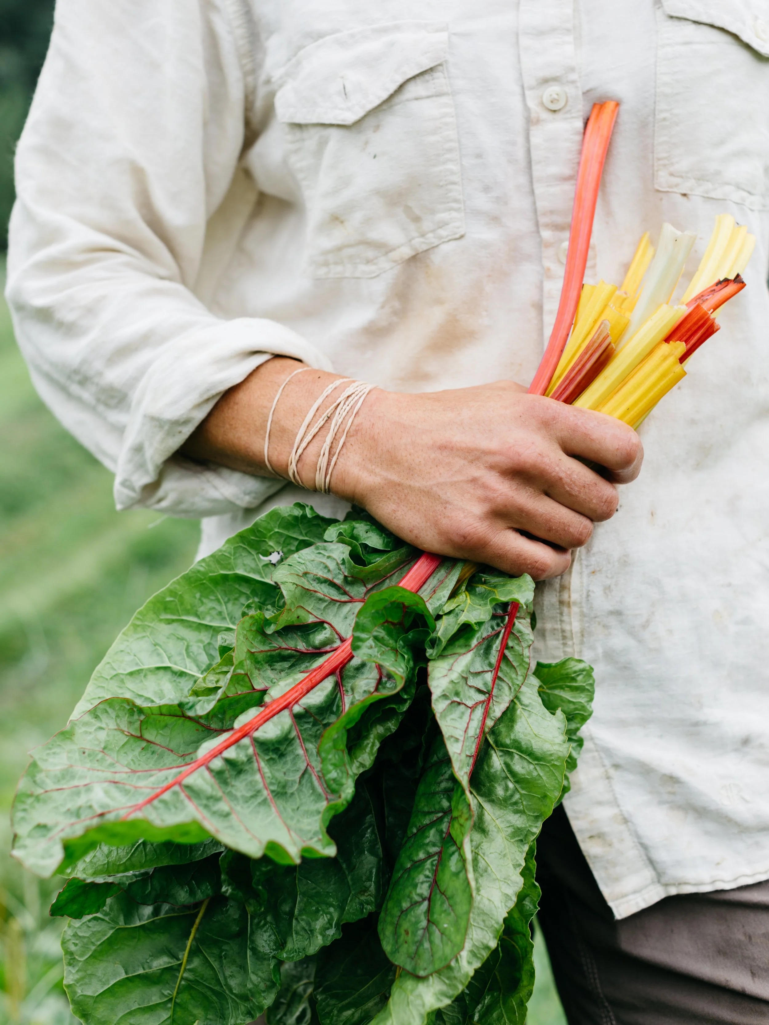 Person holding a bunch of fresh Swiss chard and colorful pasta outdoors