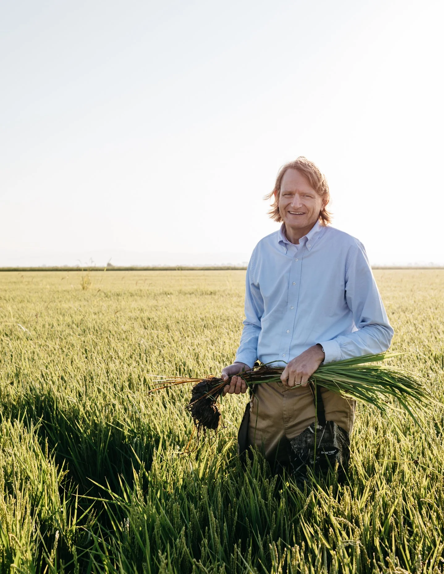 A man standing in a wheat field, holding a handful of harvested rice with a blue sky in the background.