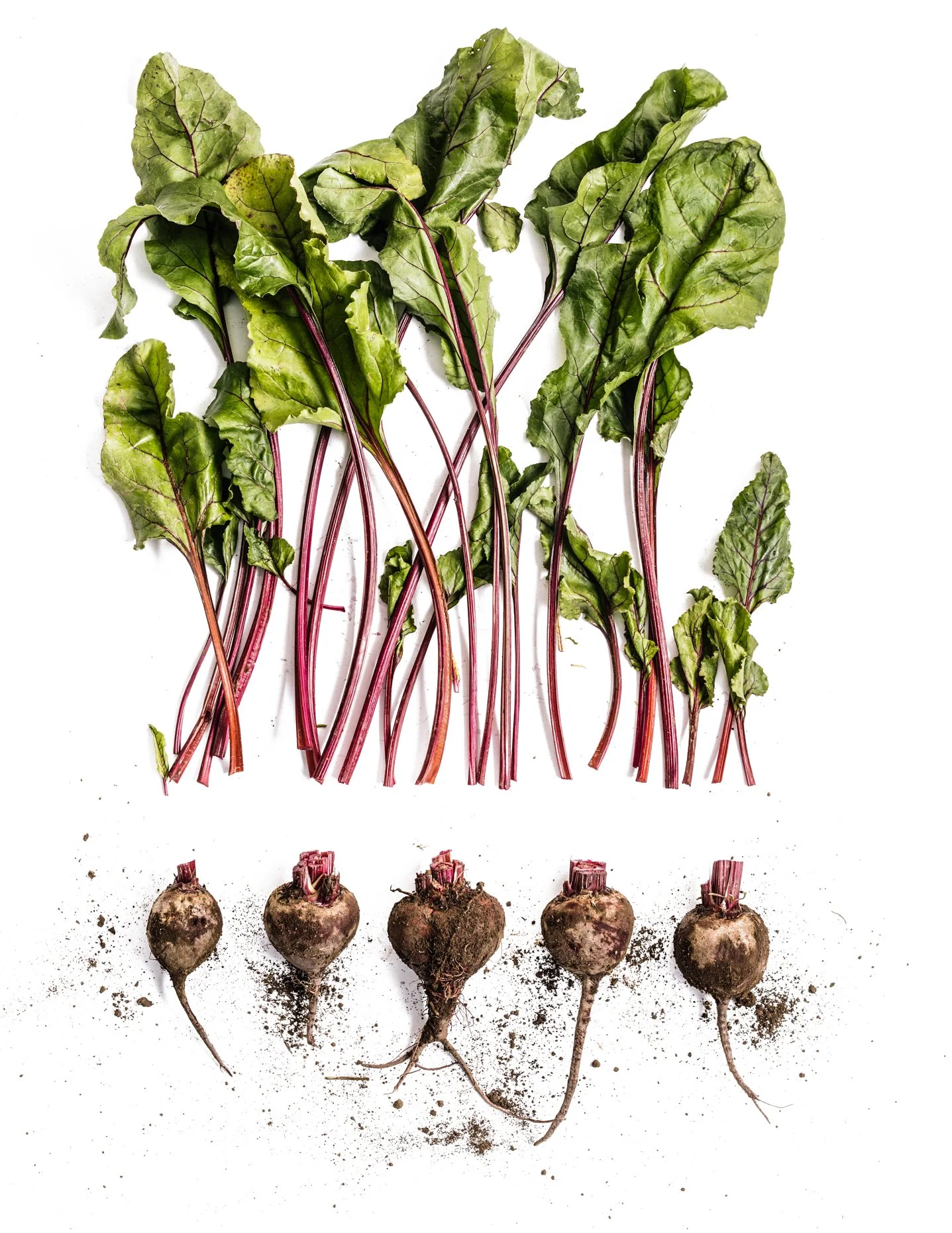 Group of fresh beets with green leaves on white background, some dirt still attached to the roots.