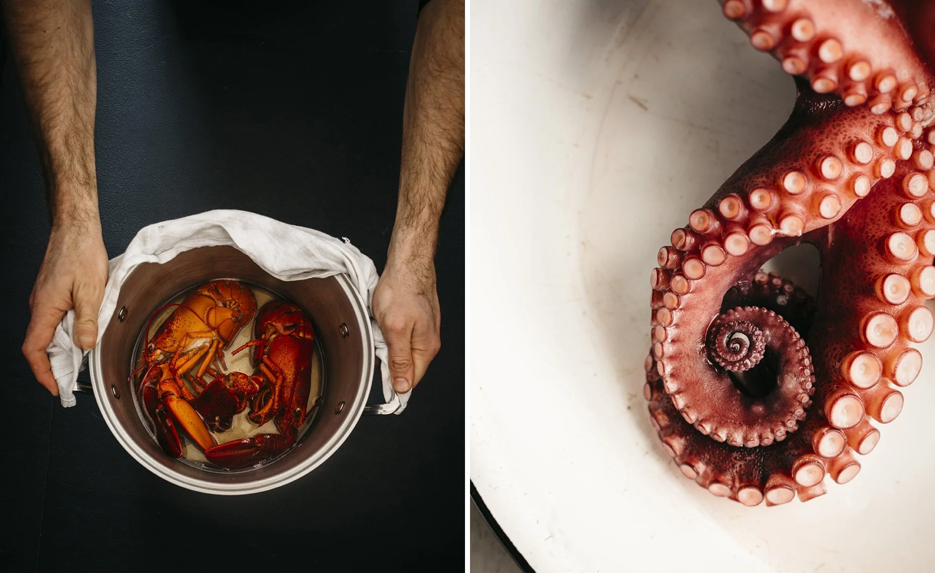 A person holding a pot of cooked crawfish and lobster with water, alongside a close-up of a curled octopus tentacle with suction cups.