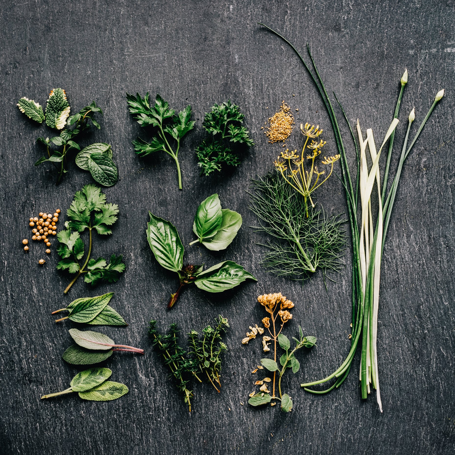 Assorted fresh herbs arranged on a dark surface, including mint, parsley, basil, cilantro, thyme, dill, chives, and other herbs.