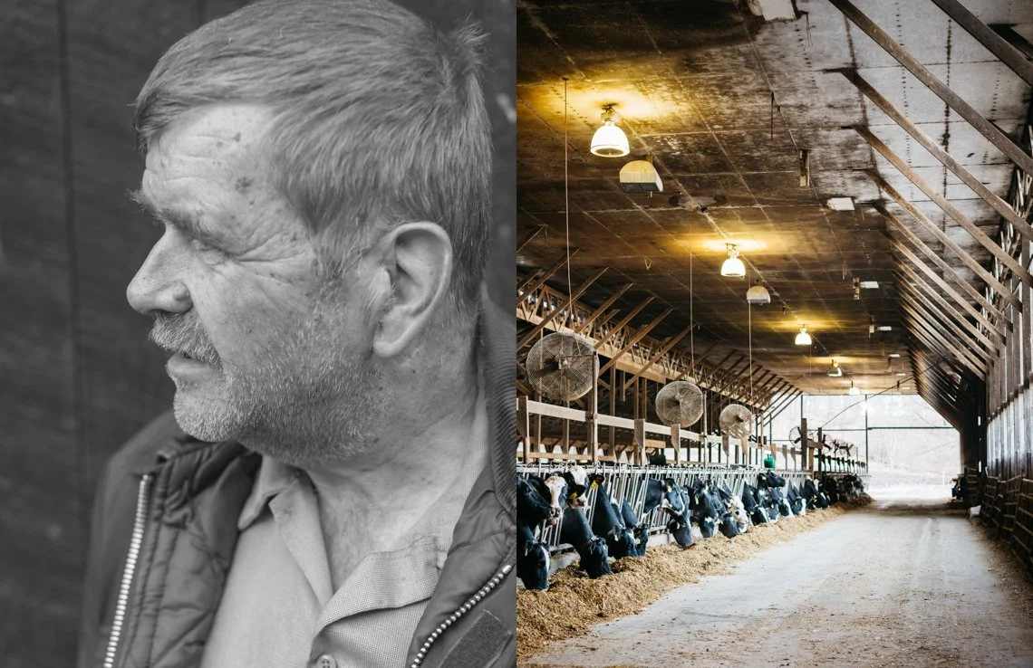 A black-and-white photo of an older man in profile on the left and a farm barn with cows on the right.