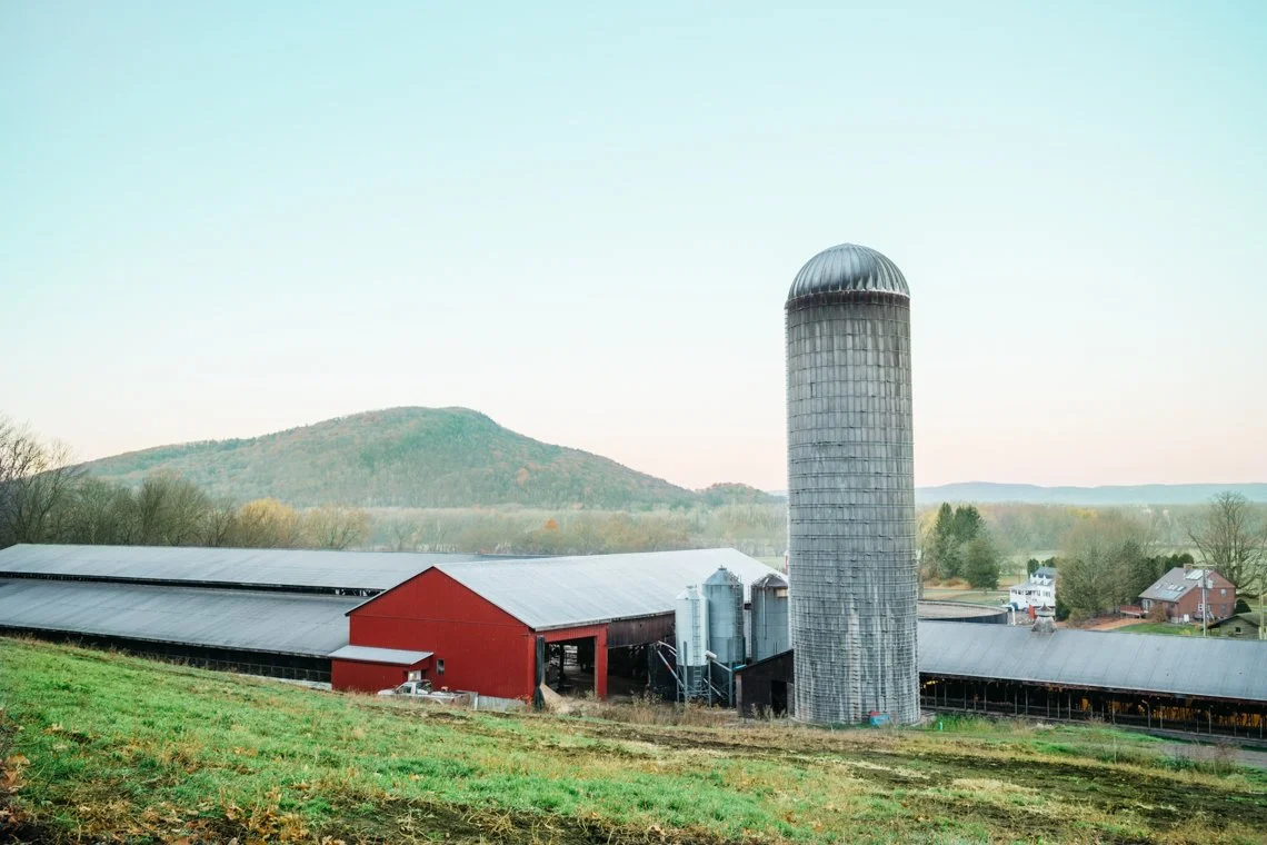 Dairy-Barstow's-Longview-Farm.jpg