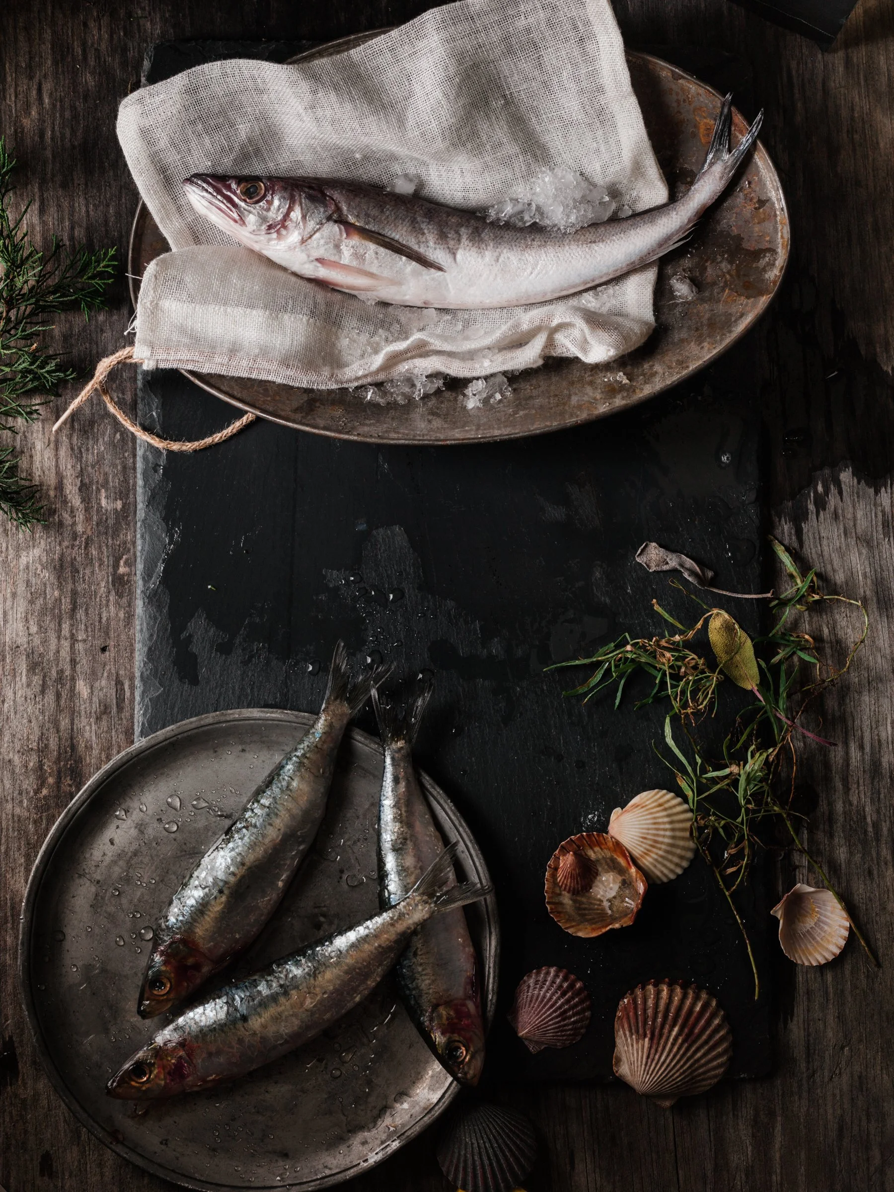 Feast-of-7-Fishes.jpg