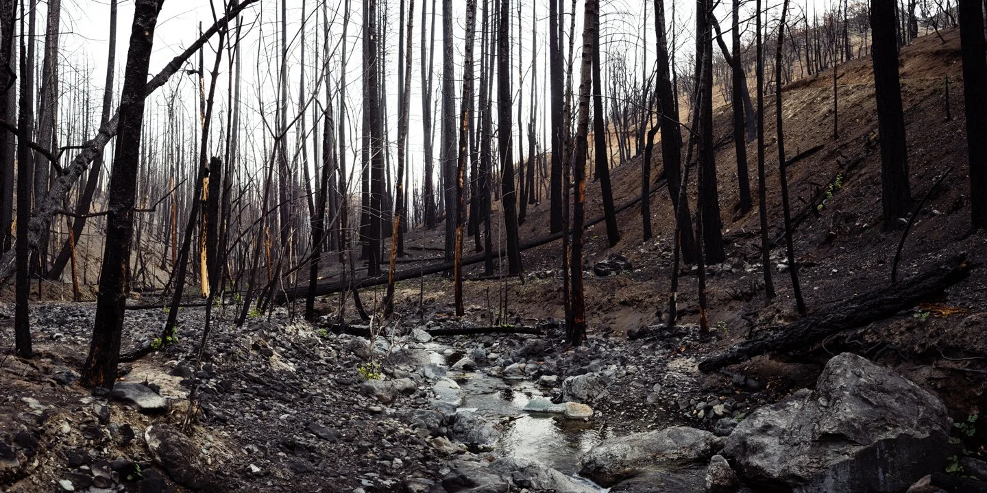Burned forest with charred trees and a small stream running through the rocky, scorched landscape