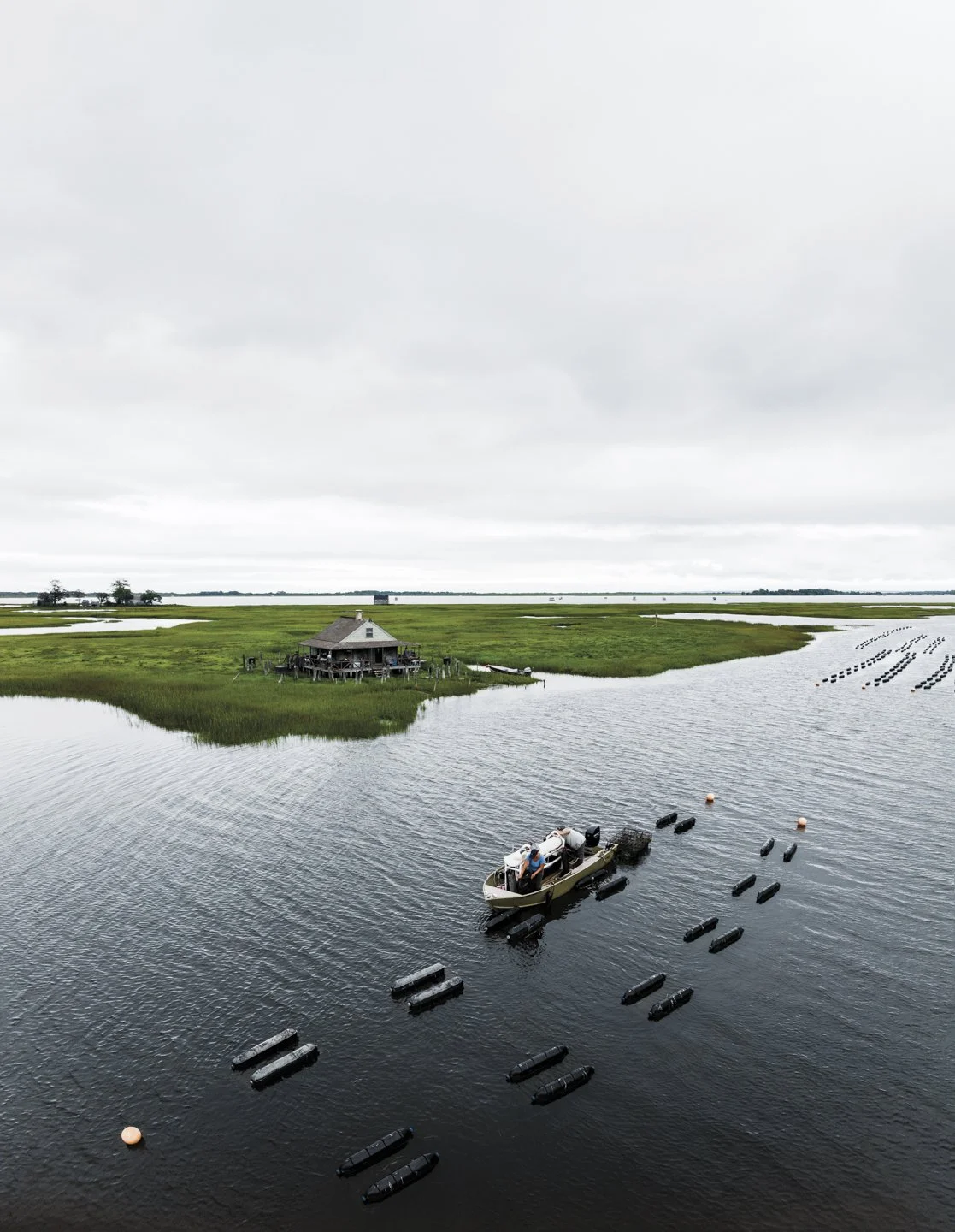 Great-Marsh-Shellfish-Oyster-Farm.jpg