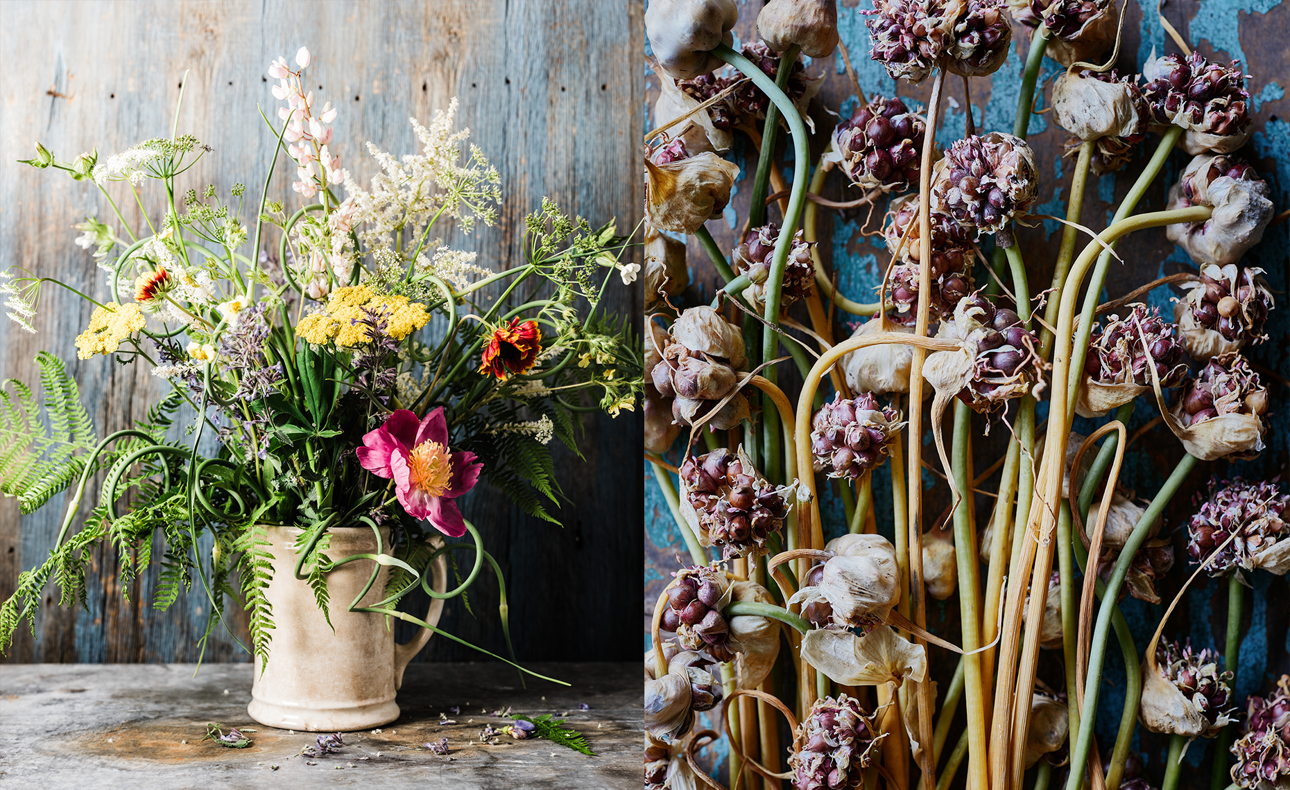 Left side: A colorful bouquet of fresh flowers and garlic scapes in a beige ceramic mug, placed on a rustic wooden surface with some fallen flowers. Right side: Bowed and withered garlic stems and seed pods, laying on a textured blue surface.
