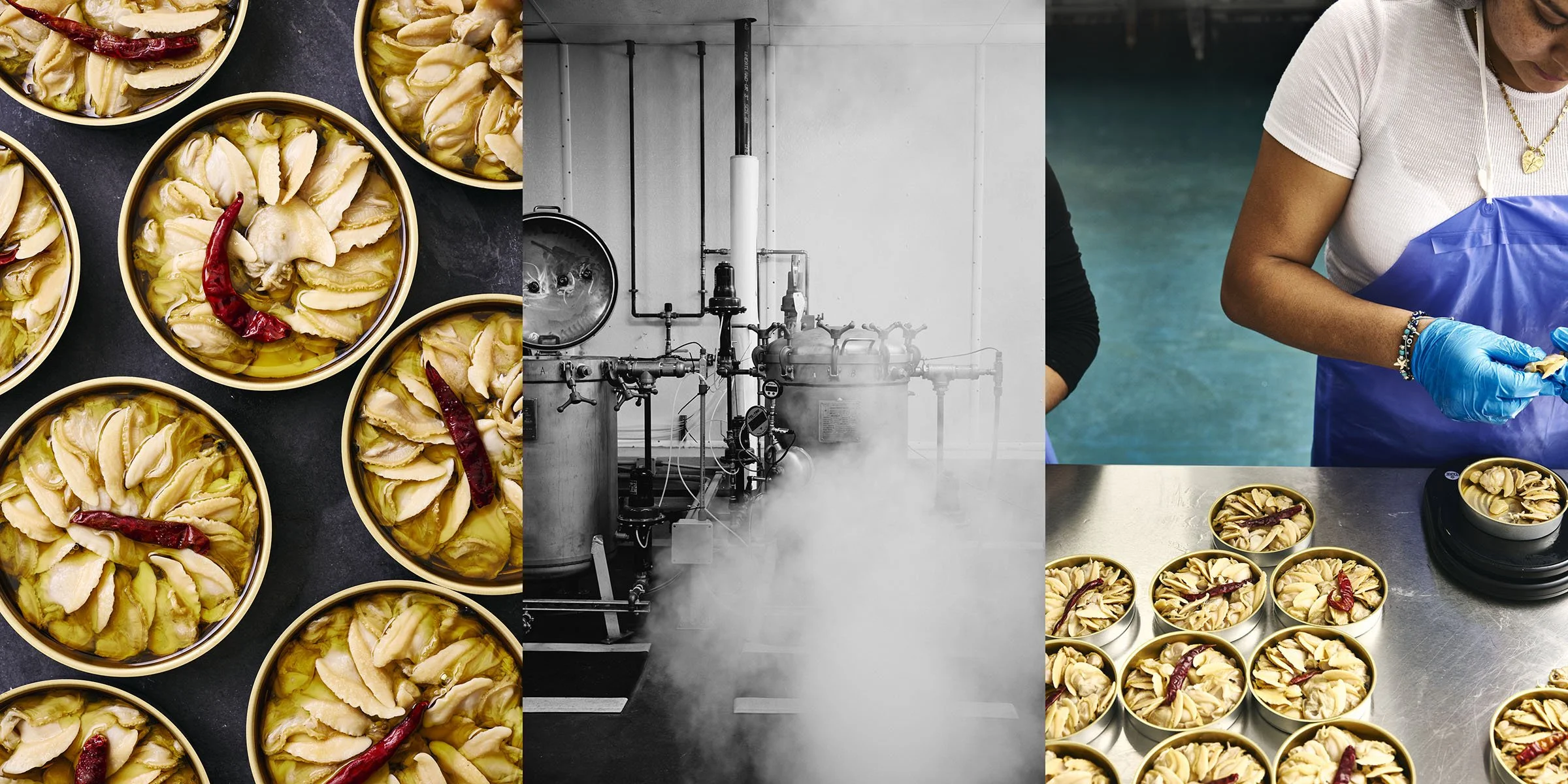Canned Clams Tryptic.jpg
